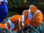 puzzle Nemo i Marlin 