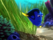 puzzle smutna Dory