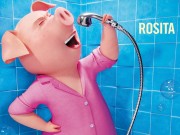 puzzle Sing Rosita świnka