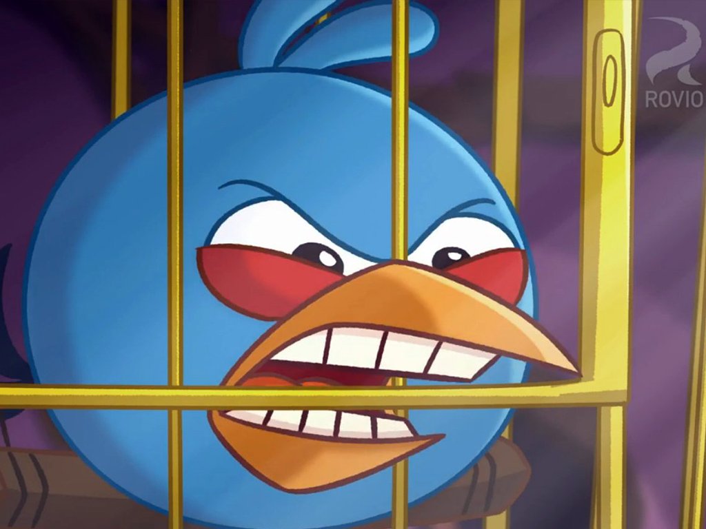 puzzle Angry Birds Niebieski w niewoli