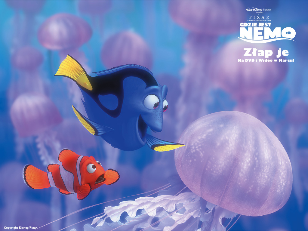 Marlin i Dory puzzle online 