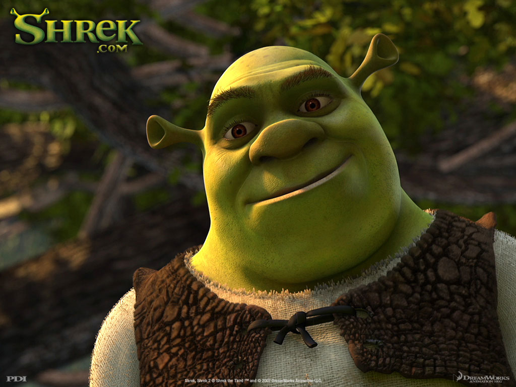 Shrek Ogr z bagna puzzle