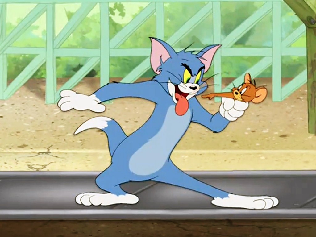 gry puzzle z bajki Tom i Jerry